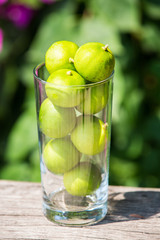 Limes in glass with bougainvillea garden