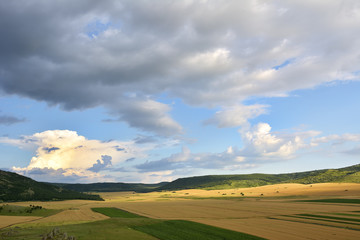 landscape with blooming fields in summer, Dobrogea, Romania