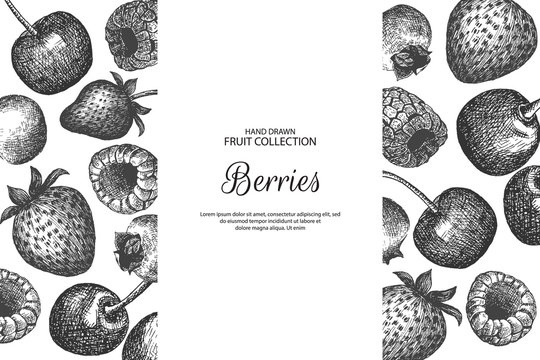 Decorative frame with berries. Can be label and banner for natural or organic fruit product and health care goods. 