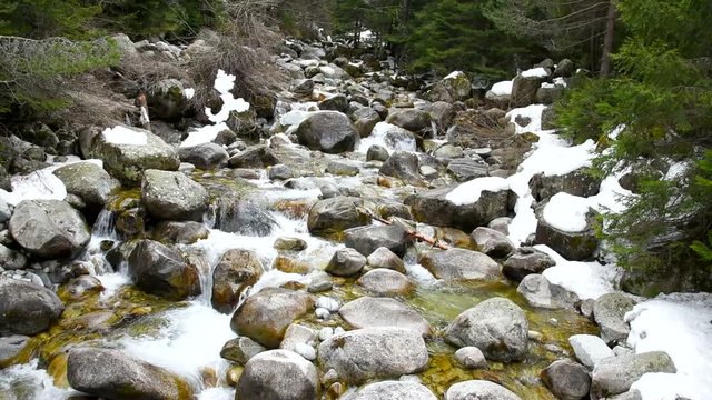  fast mountain stream among the stones  spring a thaw in the forest