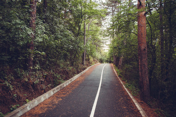 Fototapeta premium Wet asphalt road in the park. Sofia Bulgaria