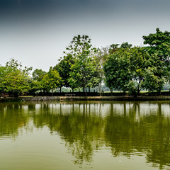 Garden with lake