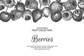 Decorative background with berries. Can be label and banner for natural or organic fruit product and health care goods. 