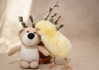 funny chicken stands beside the flower pot on a sunny day, easter