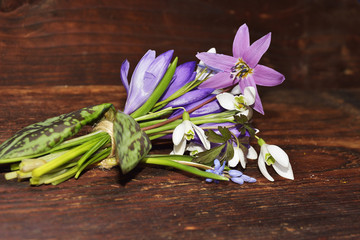 Spring flowers on weathered wood