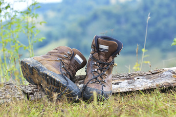 Walking shoes. All terrain shoes