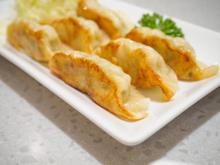 Gyoza dumplings with vegetables
