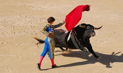 Peel and stick wall murals Bullfighting corrida 1