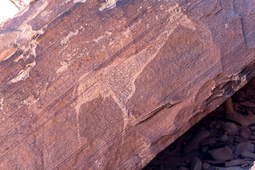 The famous prehistoric rock engravings at Twyfelfontein, tourist attraction and travel destination in Namibia, Africa.