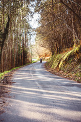 Forest road landscape in autumn with couple riding a motorbike in the background