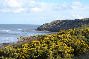 Klify © Grzegorz Lenkiewicz