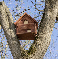 Birdhouse between tree branches