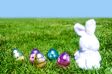 Easter bunny with eggs in field