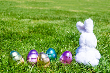 Easter bunny with eggs in field