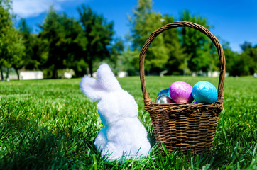 Easter bunny with eggs in field