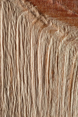 The old wooden surface is photographed macro.
