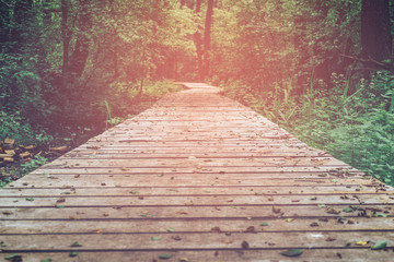 Wooden path, way, track from planks in forest park, perspective, toned image