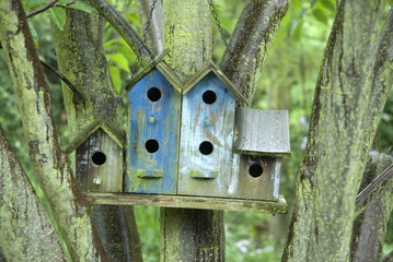 Nichoir à oiseaux