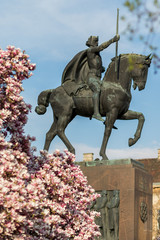King Tomislav statue and magnolia tree in blossom, Zagreb, Croatia