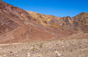 Amargosa Desert Landscape