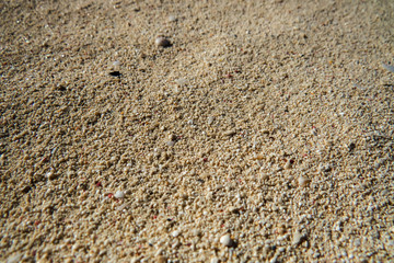 A simple close-up of the beach sand in the tropics. New Providence, Nassau, Bahamas.