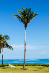 Obraz premium A nice relaxing place with palm trees and a perfect ocean view near the beach. New Providence, Nassau, Bahamas.