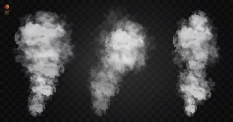 Outdoor kussens Mist of rook geïsoleerd transparant speciaal effect. Witte vector bewolking, mist smog achtergrond. illustratie © poppystyle