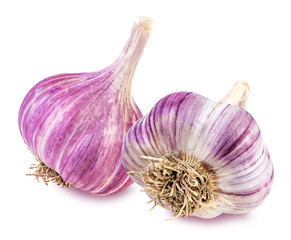 garlic isolated on white