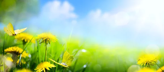 Photo sur Plexiglas Fleurs Fond de fleur de printemps de Pâques   fleur fraîche et papillon jaune sur fond d& 39 herbe verte
