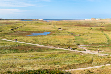 Slufter in dunes of Texel National Park on Texel island, Netherlands