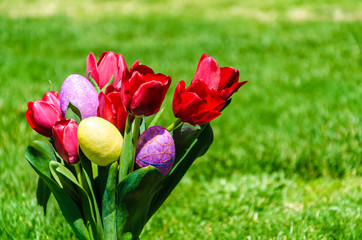 Easter eggs and bright red tulips on the grass background