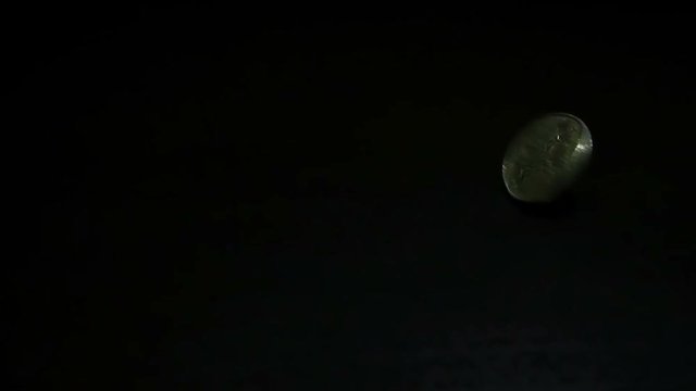 The coin is turned over. The coin rota tes close to the camera, slows and falls. Slow motion.