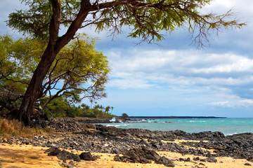 Fototapeta na wymiar Hawaiian Island Natural Beauty