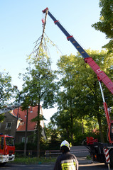 Action firefighters - removing broken tree © Artur Henryk