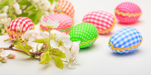 Easter eggs and flowers on white background