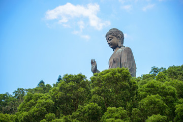 Big Buddha in Hong Kong in green forest on a background of beautiful blue sky with puffy clouds in sunshine day. Freedom, lightness sensations, serenity, harmony, light, love. Lantau Island.
