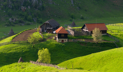 Fototapeta na wymiar Rural landscape with house in summer sunrise light somewhere in Transylvania Romania