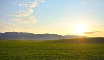 background of green field with blue sky at sunset