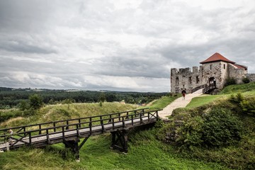 Fototapeta na wymiar Castle in Rabsztyn, Poland