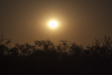 Sunset, Sabi Sands, South Africa