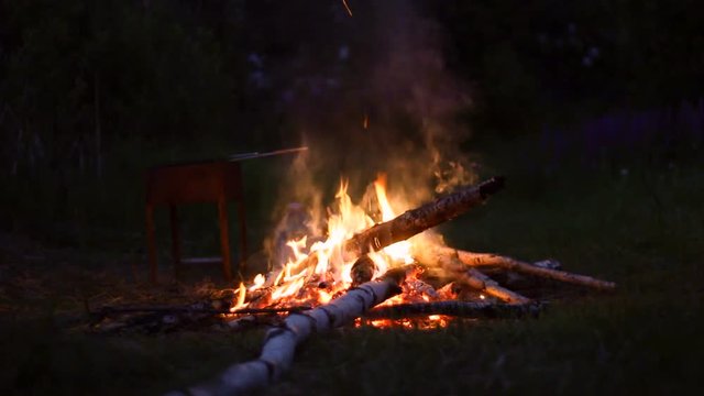 Campfire burning at summer night forest - traveling concept
