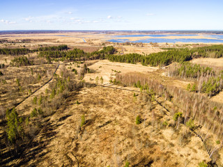 drone image. aerial view of rural area with fields and forests