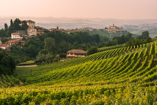 Italy, Piedmont, Cuneo district, Langhe, Castiglione Falletto, the vineyards and the castle of Castiglione Falletto