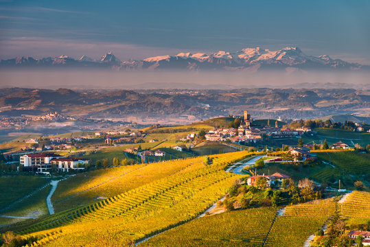 Italy, Piedmont, Cuneo District, Langhe - Autumnal view
