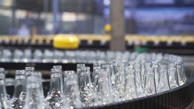 Spill in glass bottles at the plant. Conveyor belt with glass bottles. The production process of alcoholic beverages. close-up