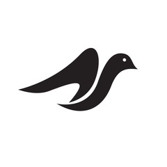 adobe stock