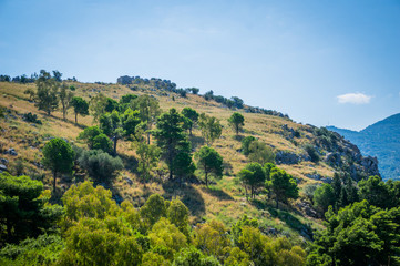 Obraz premium Cefalu hills with trees