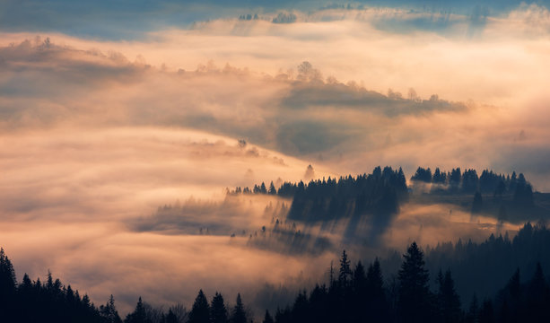 Morning fog in mountain village. Carpathians