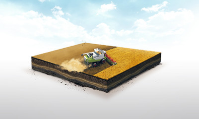 3d ilustracja glebowy plasterek, łączy banatki zbiera na pszenicznym polu odizolowywającym na białym tle - 141789995