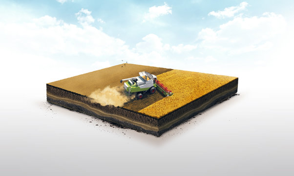3d illustration of a soil slice, combine wheat harvesting on wheat field isolated on white background